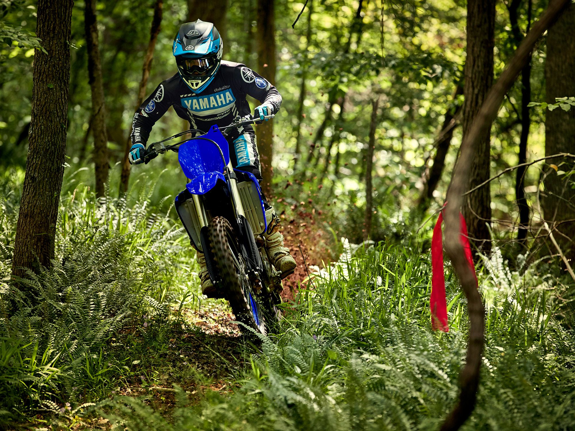 2021 Yamaha YZ250FX