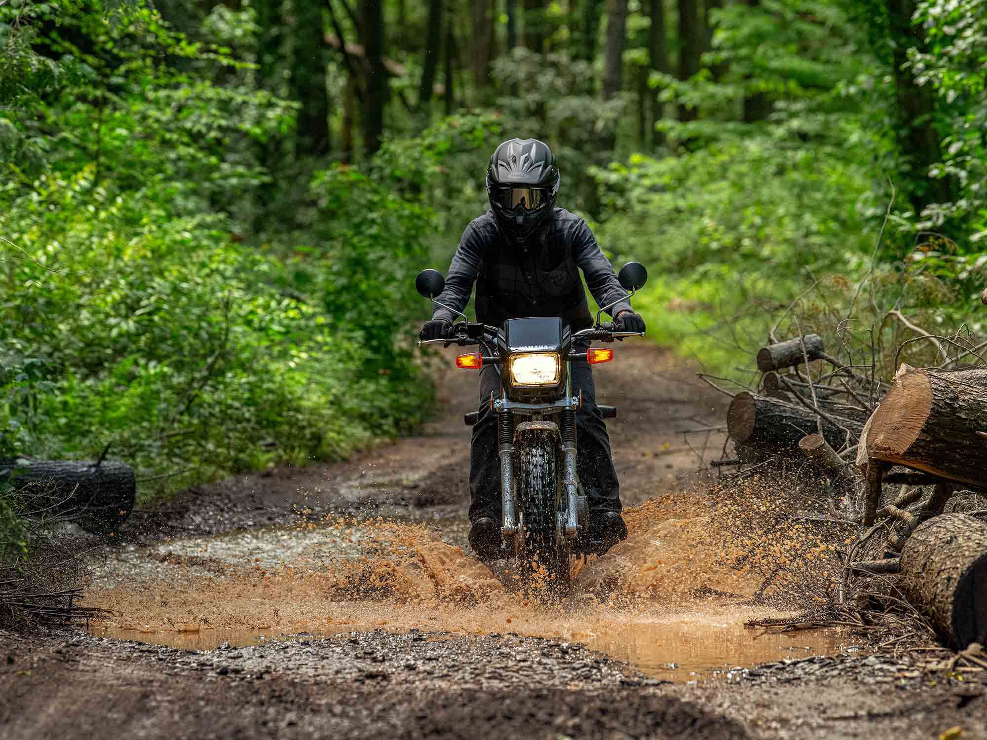 Splish splash, the TW is at home taking a muddy bath.